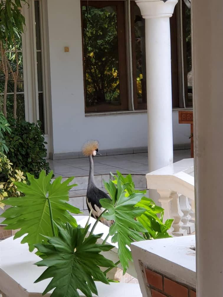 Kiriri Residence Hotel Bujumbura Exterior photo